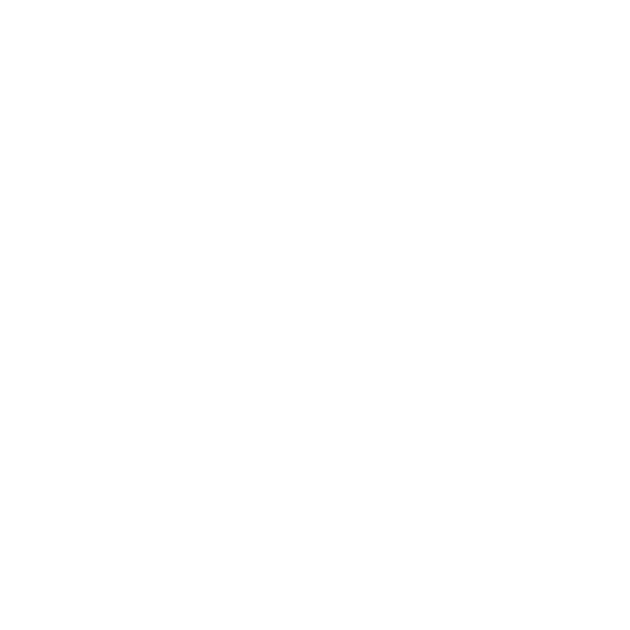ARAOR GROUP
